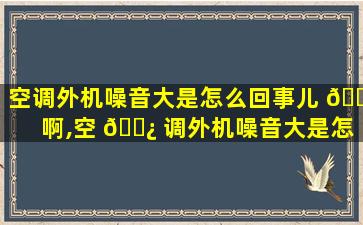 空调外机噪音大是怎么回事儿 🐛 啊,空 🌿 调外机噪音大是怎么回事儿啊怎么解决